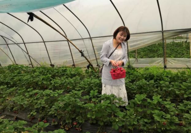 亲近“莓”好大自然,华禹护栏组织员工春游采摘活动
