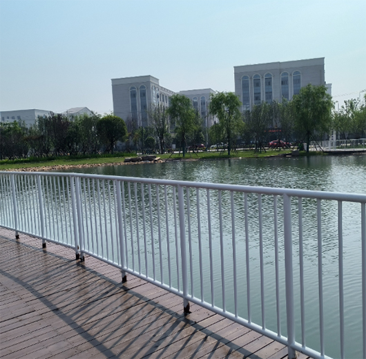 湖北荆州长江大学文理学院锌钢栏杆案例
